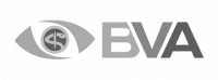 bva_grau_1